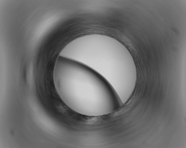 X0000113990382200910021015