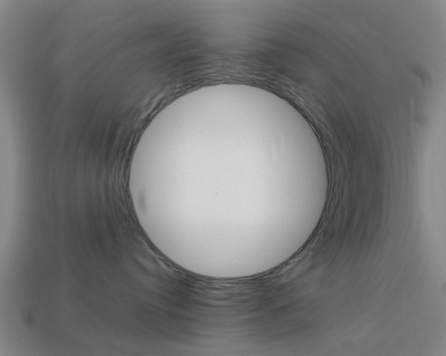 X0000113990384200910021015