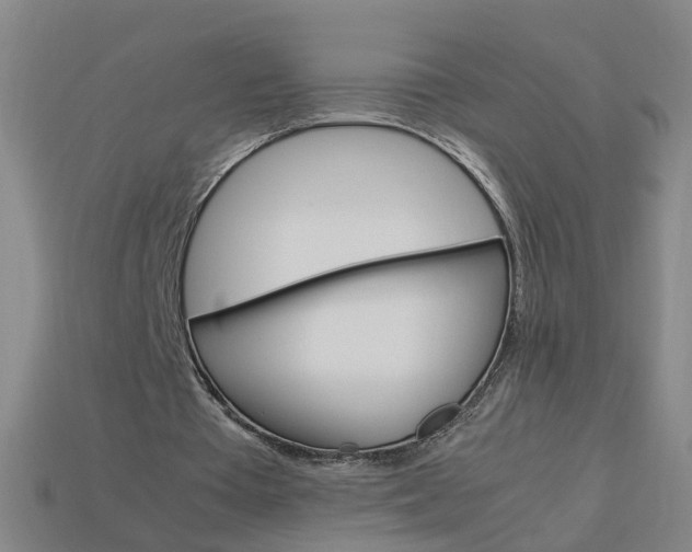 X0000113990385200910021014