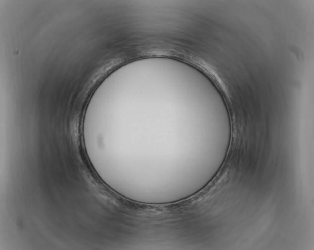 X0000113990386200910021014