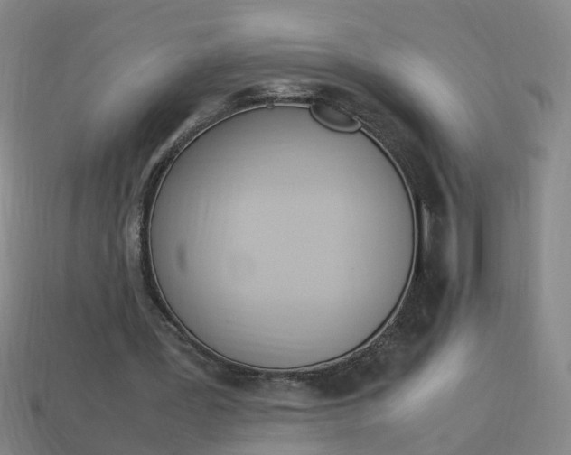 X0000113990387200910021014