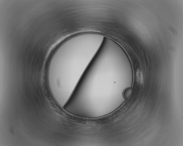 X0000113990388200910021014