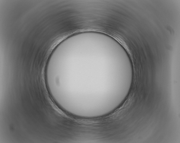 X0000113990389200910021014