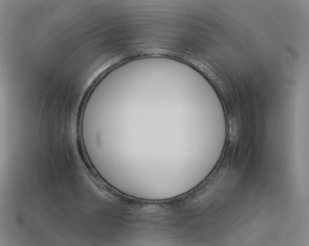 X0000113990390200910021014