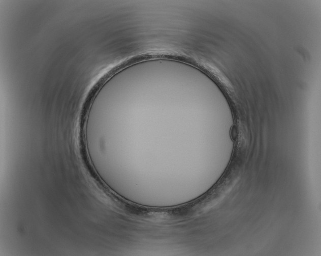 X0000113990391200910021014