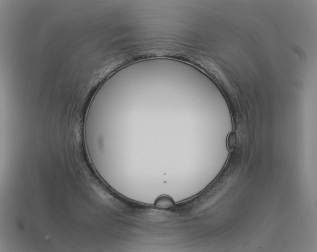 X0000113990393200910021014