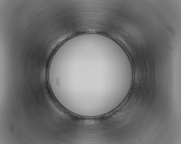 X0000113990394200910021014