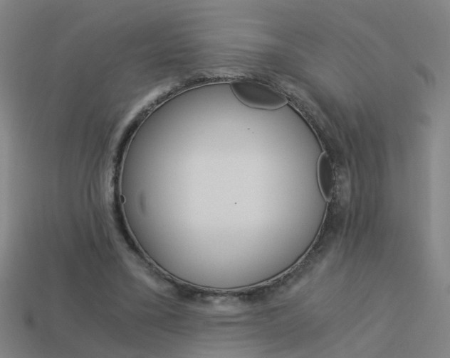 X0000113990395200910021014