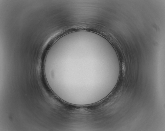X0000113990396200910021014