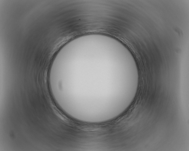 X0000113990397200910021014