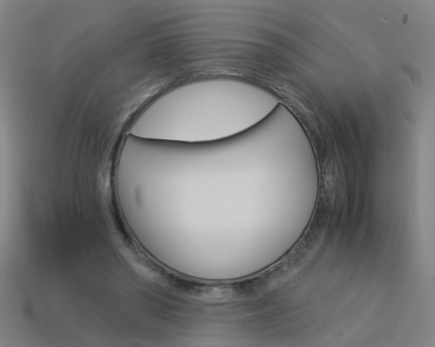 X0000113990398200910021014