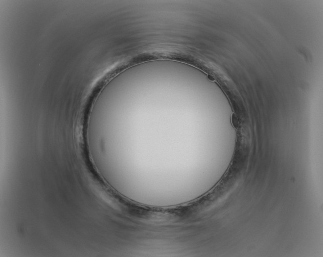 X0000113990399200910021014