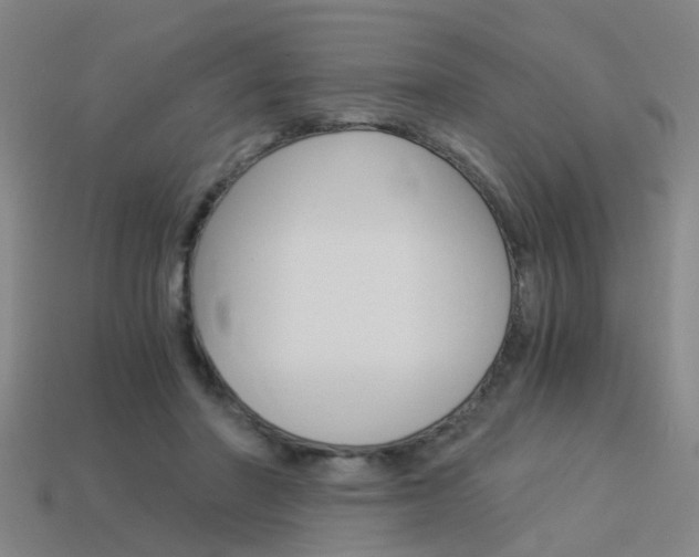 X0000113990406200910021014