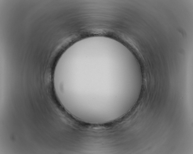 X0000113990407200910021014