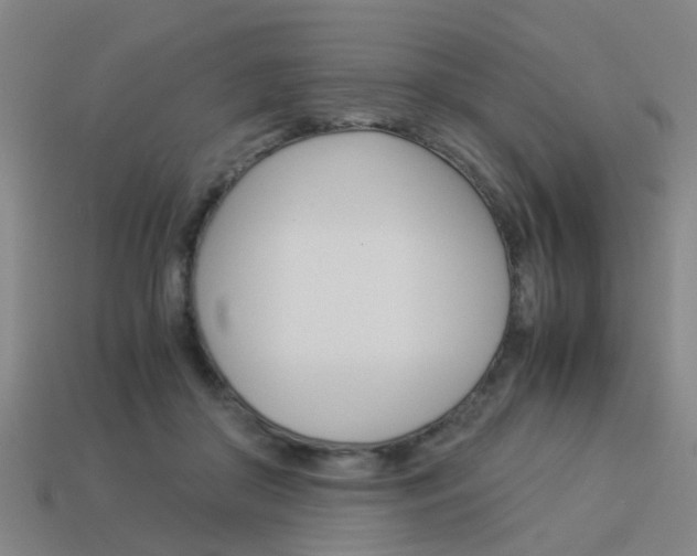 X0000113990410200910021014