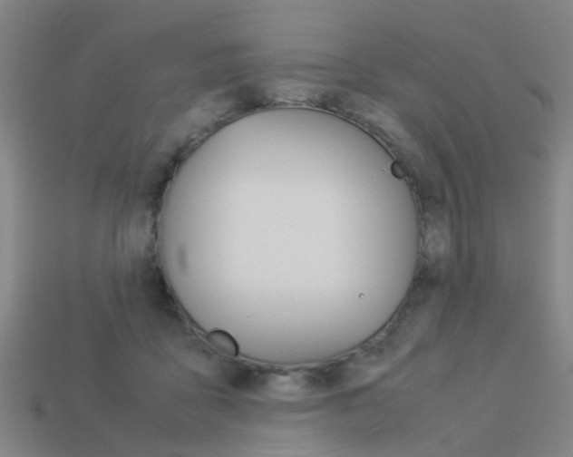 X0000113990411200910021014