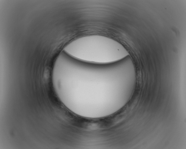 X0000113990412200910021014