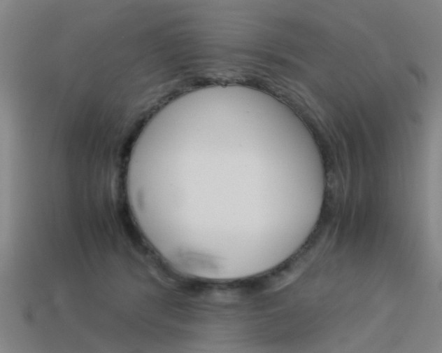 X0000113990416200910021014