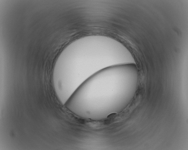 X0000113990417200910021014