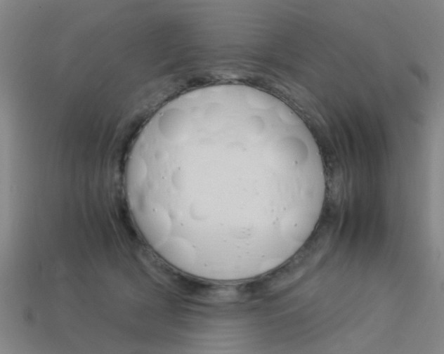 X0000113990418200910021014