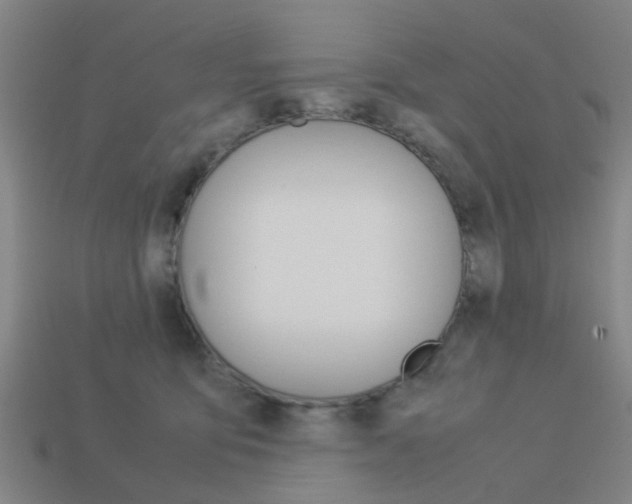 X0000113990419200910021014