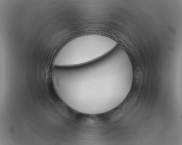 X0000113990420200910021014