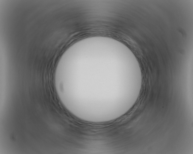 X0000113990421200910021014