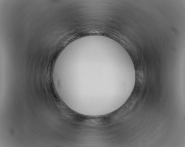 X0000113990422200910021014