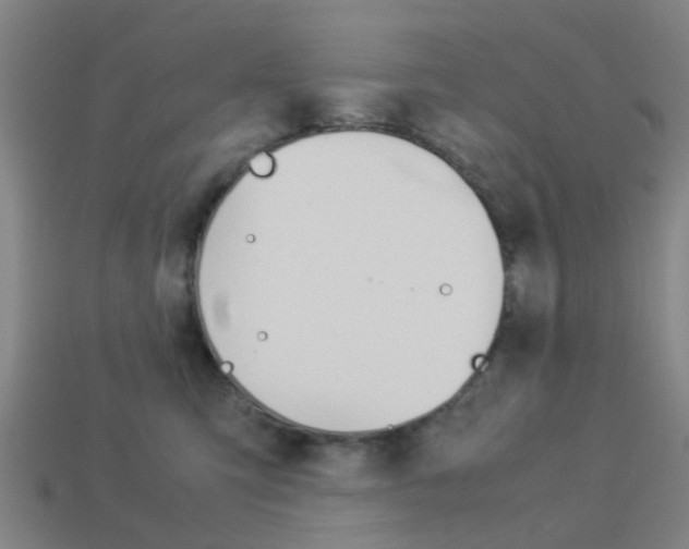 X0000113990423200910021014