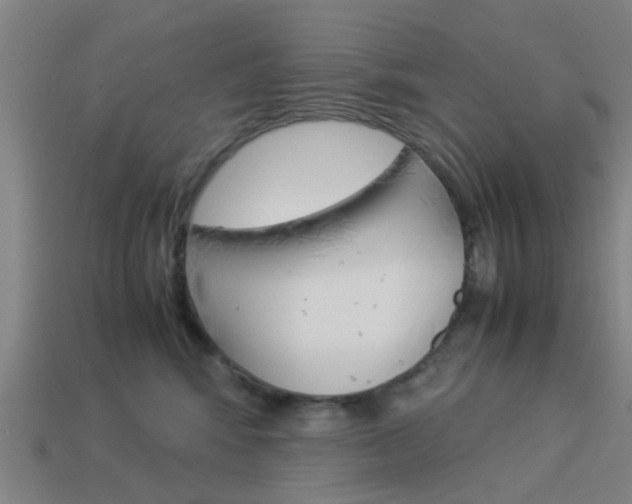 X0000113990424200910021014