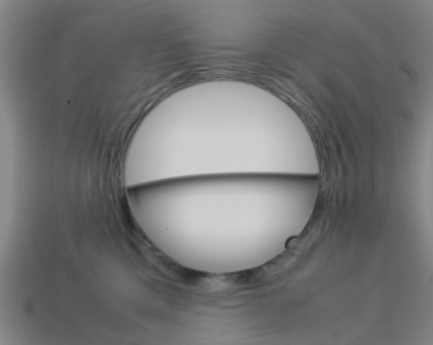 X0000113990425200910021014