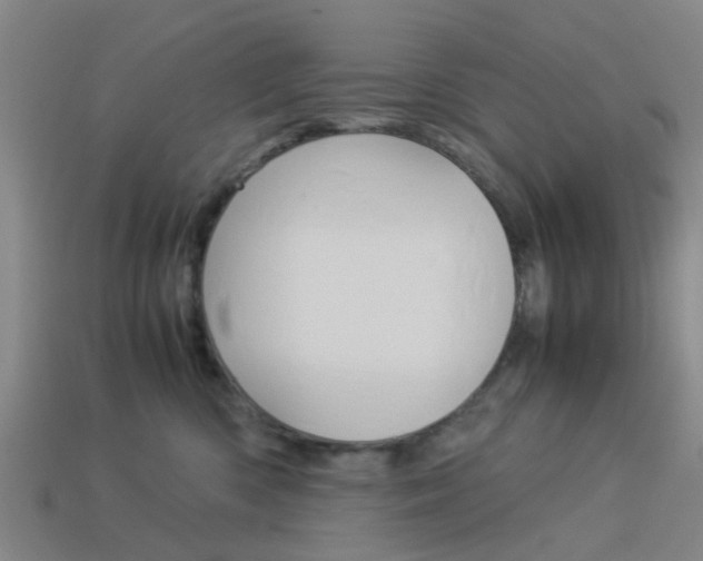X0000113990426200910021013