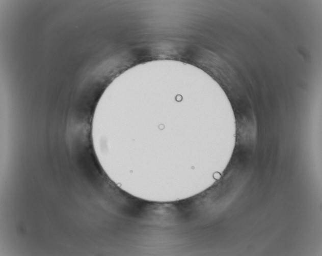 X0000113990427200910021013