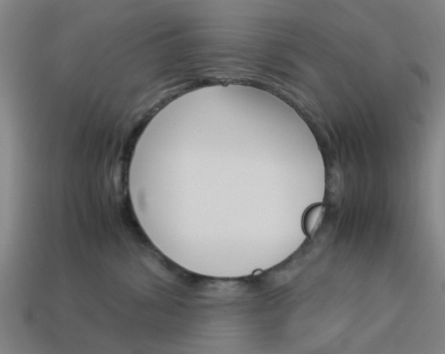 X0000113990428200910021013