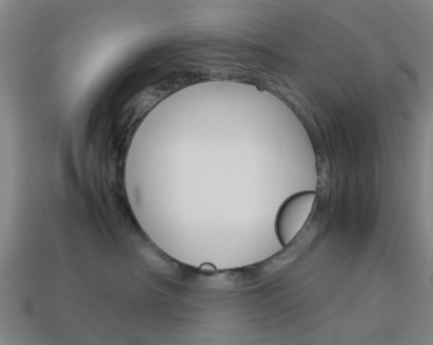X0000113990430200910021013