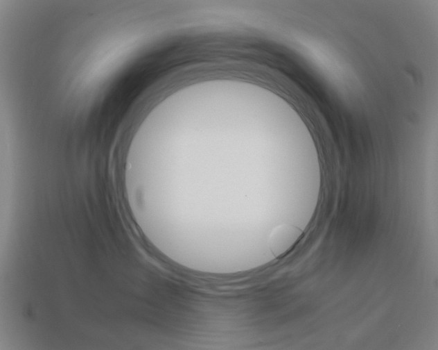 X0000113990431200910021013