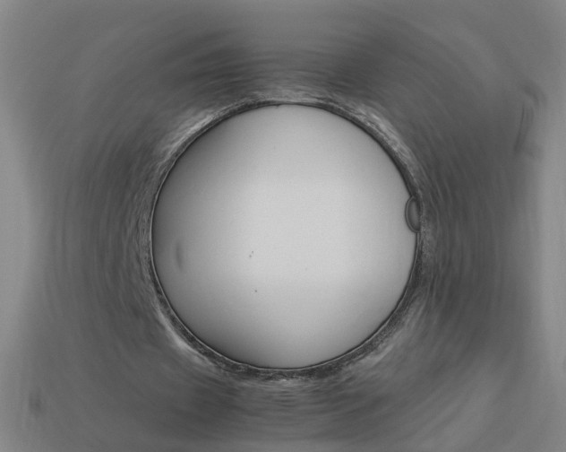 X0000113990433200910021013