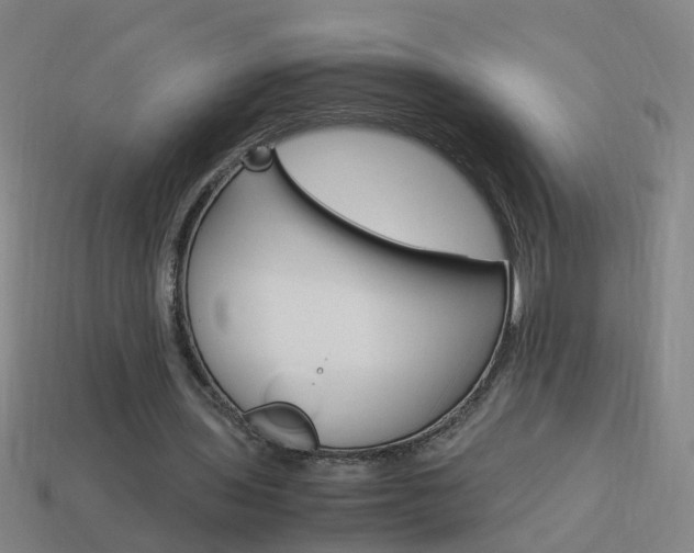 X0000113990435200910021013
