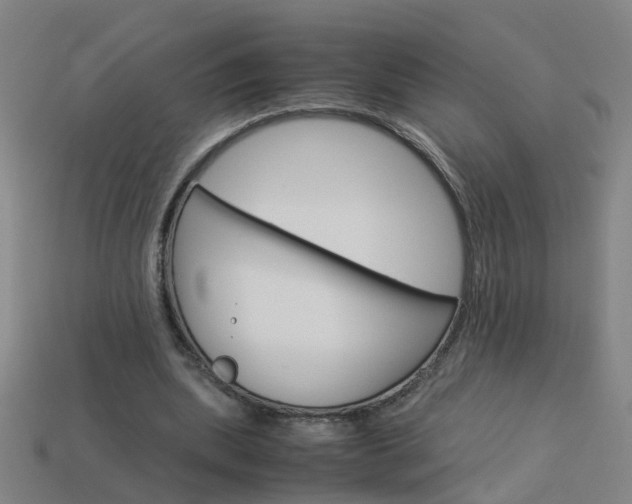 X0000113990439200910021013