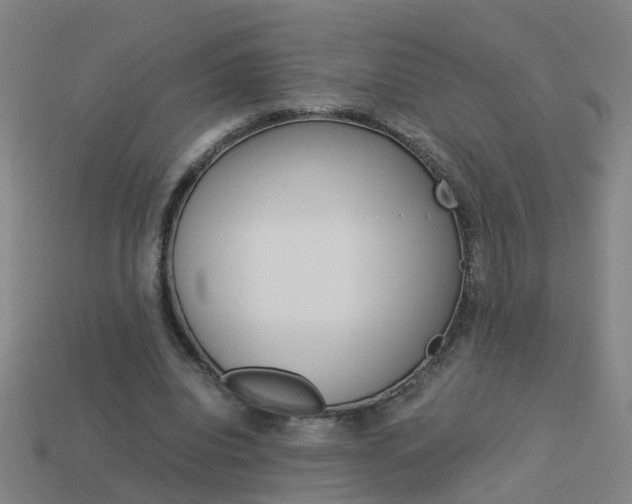 X0000113990440200910021013