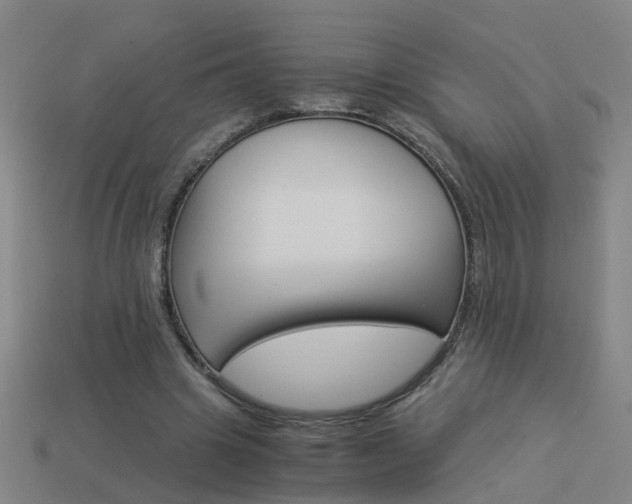 X0000113990441200910021013