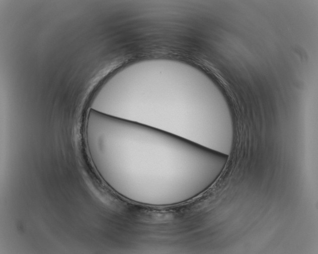 X0000113990443200910021013