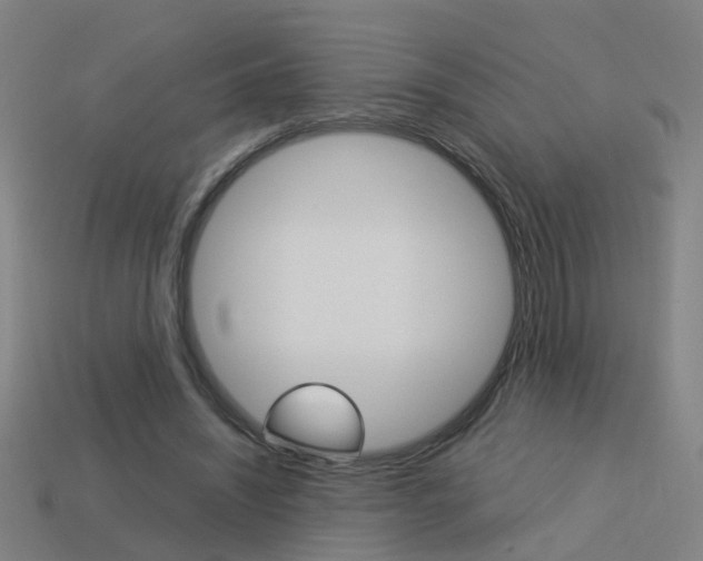 X0000113990444200910021013