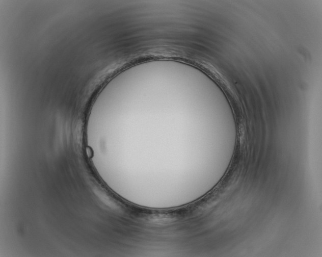 X0000113990445200910021013