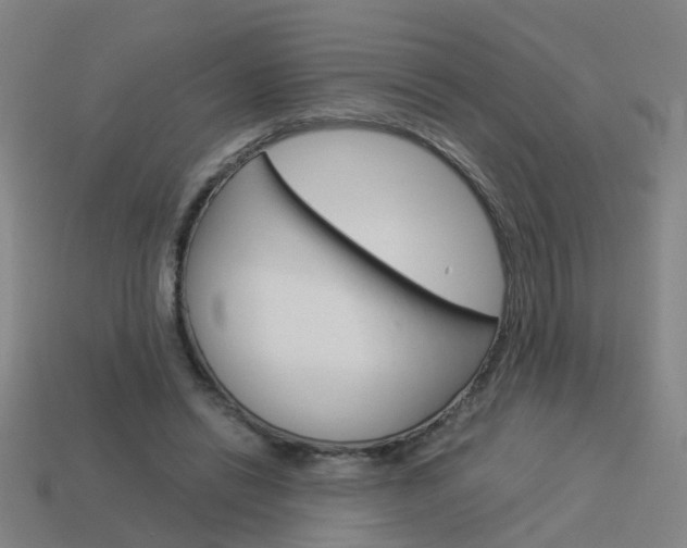 X0000113990446200910021013
