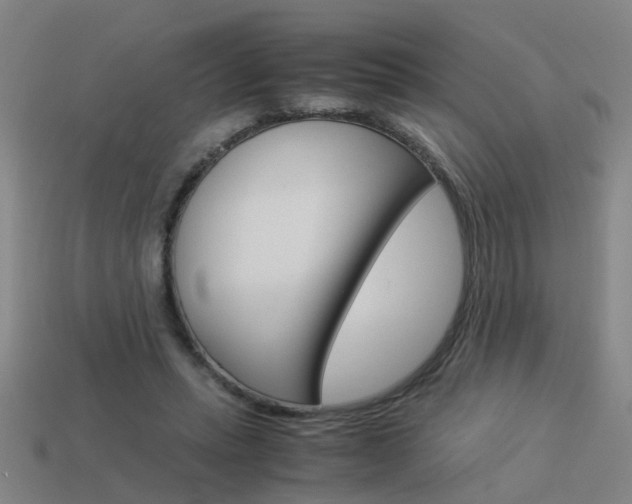 X0000113990447200910021013