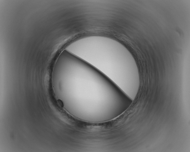 X0000113990448200910021013