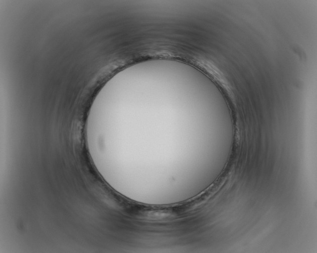 X0000113990449200910021013