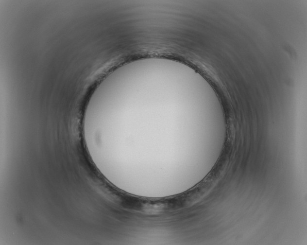 X0000113990450200910021013