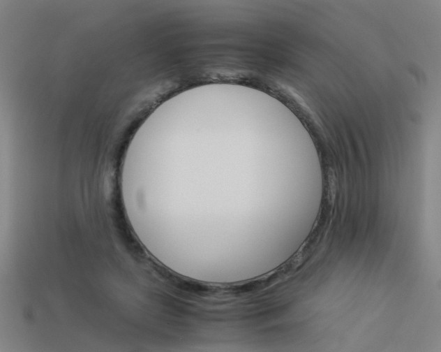 X0000113990451200910021013